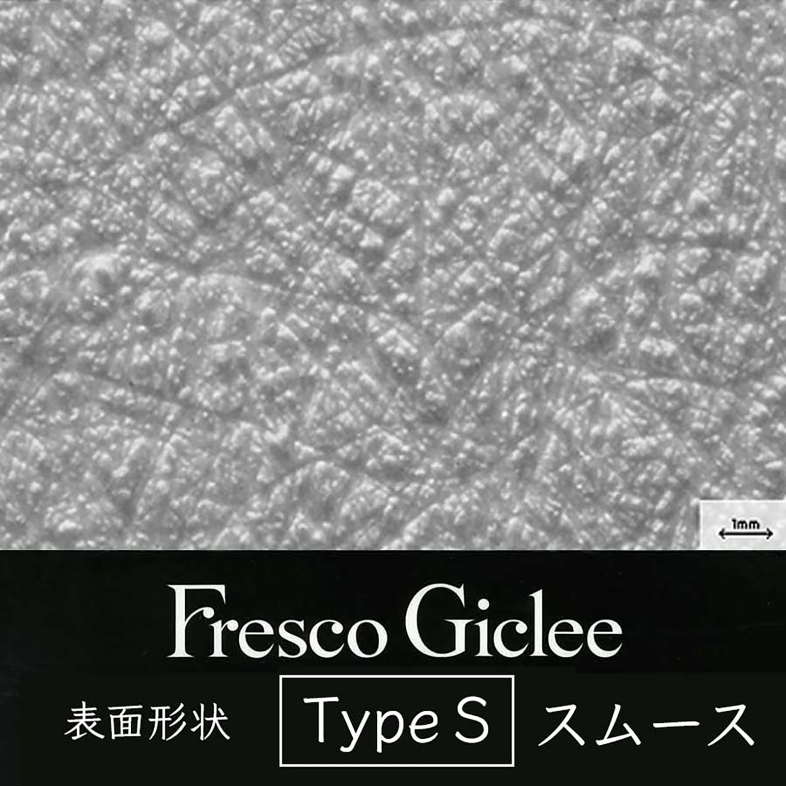 Amazon | フレスコジクレー Type S カット判 A3ノビ（329×483mm